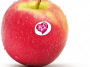 MANZANA PINK LADY